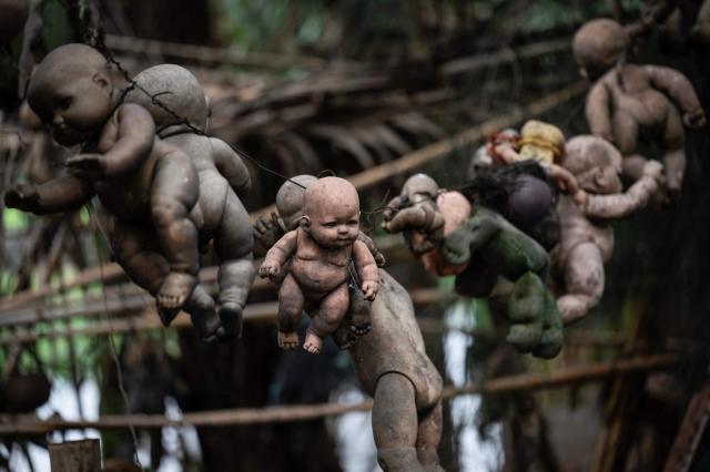 Old and deteriorated dolls hang on a tree at Isla de las Munecas (Island of the Dolls) in Xochimilco, Mexico on September 10, 2025. Naked or tattered plastic bodies hang from ancient trees. Severed heads, glass eyes staring at visitors. The macabre Island of the Dolls in Mexico City frightens many, but fascinated Lady Gaga and Tim Burton.. (Photo by Yuri CORTEZ / AFP)