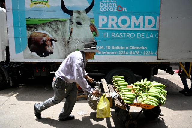 A man carries a wheelbarrow full of green bananas past a truck at the Zona Belen market in Tegucigalpa on September 18, 2025. (Photo by Orlando SIERRA / AFP)