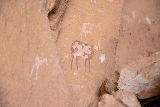 A general view of an impact next to cave paintings at the Garoa Hallagana rock art site, in Ennedi Ouest province, Chad, on July 10, 2025. A five-day scientific mission, conducted at the end of July, thirty kilometers from Fada, brought together Chadian archaeologists and geologists from the universities of N'Djamena and Abeche.
The objective: to lay "the first milestone" in the chronological markers of the ancient occupation of the Ennedi region, the researcher asserts.
The Ennedi Natural and Cultural Reserve (RNCE), created in 2018 in this Chadian province, at the crossroads with Libya and Sudan, is home to a rich archaeological heritage.
Across a sanctuary spanning more than 50,000 square kilometers, tens of thousands of rock engravings and paintings adorn the rock faces.
Following the inscription of the RNCE on the World Heritage List in 2016, the Chadian government entrusted its co-management to the South African NGO African Parks for fifteen years. (Photo by Joris Bolomey / AFP)