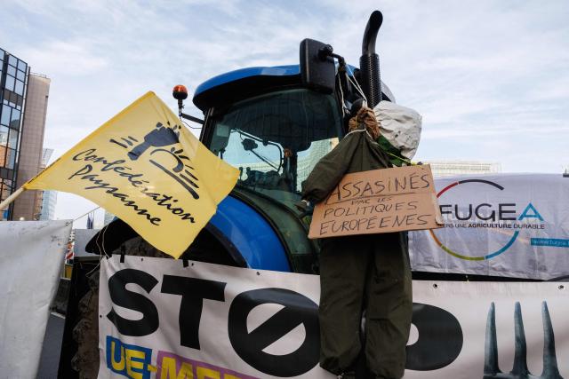 (FILES) This photograph shows a flag of the Confederation Paysanne union and a puppet hanging with a placard reading "killed by European policies" during a protest against the EU-Mercosur trade deal, which farmers fear would flood the bloc with cheaper agricultural goods, beside the European Union Commission in Brussels, on November 13, 2024. The Confederation Paysanne farmers' union has called for a demonstration in Paris on 14 October, with ‘tractors at the forefront’, in order to ‘stop the EU-Mercosur free trade agreement’, for which Brussels has launched the ratification process, according to a statement released on Tuesday. (Photo by Simon Wohlfahrt / AFP)