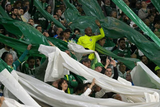 Fans of Palmeiras cheer for their team ahead of the Copa Libertadores quarterfinal second leg football match between Brazil's Palmeiras and Argentina's River Plate at the Allianz Parque Stadium in Sao Paulo, Brazil on September 24, 2025. (Photo by Nelson ALMEIDA / AFP)