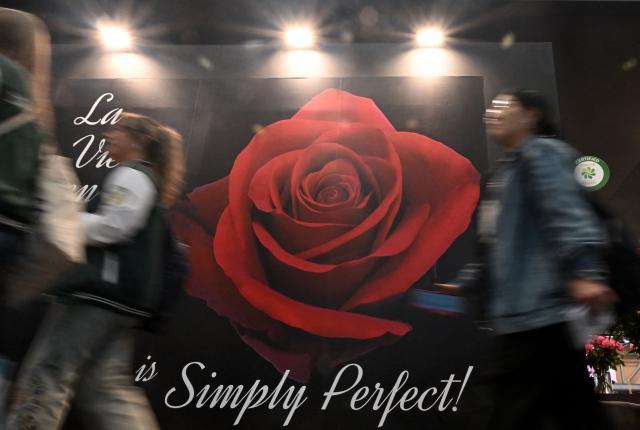 Women walk past a banner with the image of a rose during the international Proflora fair in Bogota on October 2, 2025. (Photo by Raul ARBOLEDA / AFP)