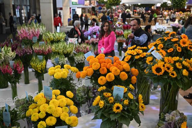 People walk amid flowers as they attend the international Proflora fair in Bogota on October 2, 2025. (Photo by Raul ARBOLEDA / AFP)