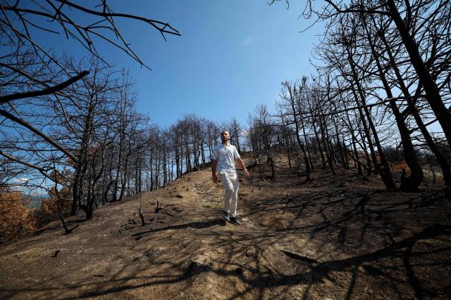 Head of the municipal administration Arif Feimi walks in the burned forest in Skenderbegas, near Gramsh, on September 16, 2025. Weeks of violent wildfires have devastated pine forests around Skenderbegas in central Albania’s Gramsh region, destroying more than 700 hectares of woodland and dozens of homes with livestock and wildlife among the victims, as the country faced extreme heat and drought on summer 2025, making it one of the Balkan nations most affected by wildfires. (Photo by Adnan Beci / AFP)