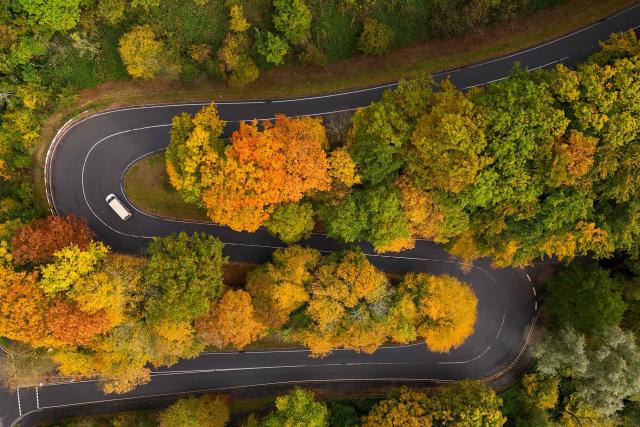 An aerial view shows a car on a sreet surrounded by trees with autumn-coloured leaves near Odenthal, western Germany on October 13, 2025. (Photo by Ina FASSBENDER / AFP)