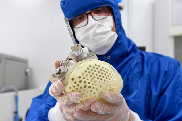 (FILES) A CARMAT employee shows an auto-regulating, bioprosthetic artificial heart at the company headquarters in Bois-d'Arcy, in the west of Paris on August 29, 2018. The Versailles Economic Court has postponed its review of the request for judicial liquidation of Carmat, a French manufacturer of artificial hearts, until 25 November, thereby allowing time for other potential takeover bids to emerge, the company's chief executive told AFP on October 14, 2025. (Photo by BERTRAND GUAY / AFP)
