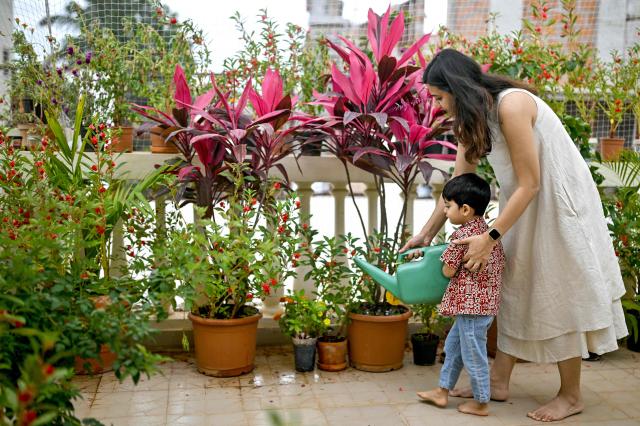 This photograph taken on September 27, 2025 shows Natasha Uppal (R), a pollution refugee and founder of maternal health support group Matrescence India, watering plants with her son at the terrace garden of their residence in Bengaluru. Pollution levels in India's capital city Delhi is shaping decisions on parenthood -- forcing a small yet growing number of people to flee because of the health hazards associated with toxic air. Home to more than 30 million people, New Delhi and the surrounding metropolitan area consistently tops world rankings for air pollution. (Photo by Idrees MOHAMMED / AFP) / TO GO WITH 'India-Environment-Pollution-Health' FOCUS
