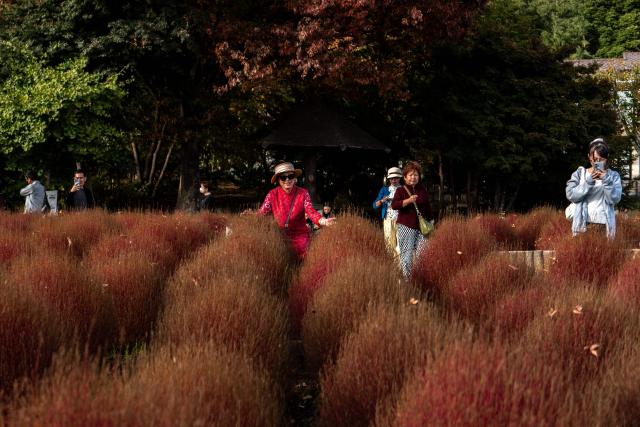 A tourist (C) poses for photographs at Oishi park in the town of Fujikawaguchiko, Yamanashi prefecture on October 18, 2025. (Photo by Philip FONG / AFP)