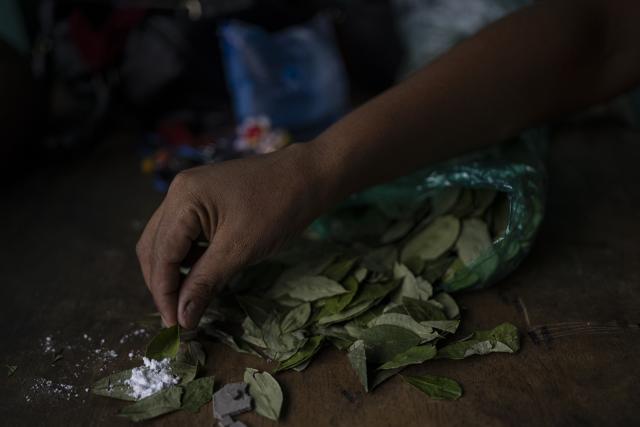 A woman adds baking soda to chew coca leaves at the Primary Coca Market of the United Central Unified Federation, in Shinaota, Cochabamba department, Bolivia on October 18, 2025. (Photo by ERNESTO BENAVIDES / AFP)