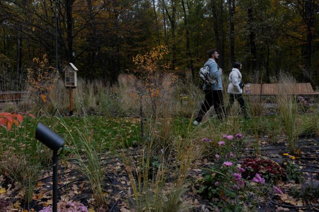 People walk through a Therapeutic Garden in Kyiv, on October 20, 2025, amid the Russian invasion of Ukraine. Developed by artist and lighting designer Mykola Kabluka the Therapeutic Garden was created to assist in the recovery and emotional support of veterans and general public with the aim to restore health through movement in contact with nature. (Photo by Tetiana DZHAFAROVA / AFP)