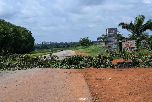 A general view of tree branches blocking the road at the entrance of the village of Lopou, near Dabou, on October 2025 where villagers disrupted the presidential vote. In Lopou, located about 40 kilometers west of Abidjan, both the main roads and the small adjacent tracks were blocked by protesters on October 25, 2025, an AFP team observed.
Between anger and disillusionment, this town illustrates the tension prevailing in certain areas of southern Ivory Coast on this presidential election day.
Supporters of former President Laurent Gbagbo and Tidjane Thiam, both excluded from the ballot, are attempting to disrupt the vote, in which incumbent President Alassane Ouattara is the clear favorite. (Photo by Issouf SANOGO / AFP)