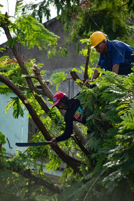 Workers prune trees ahead of the arrival of Tropical Storm Melissa in Santiago de Cuba on October 25, 2025. Cuba has begun preparations to face the impact of Tropical Storm Melissa in at least two provinces in the central and eastern parts of the island, as the storm moves toward Jamaica. (Photo by AFP)