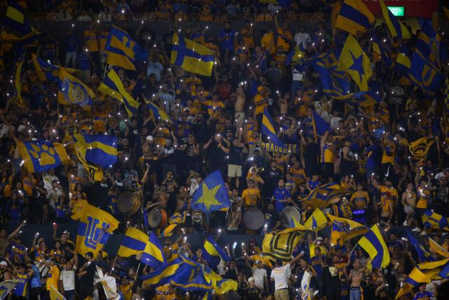 Fans of Tigres cheer for their team during the Liga MX Apertura tournament football match between Tigres and Tijuana at the UANL University Stadium in San Nicolas de los Garza, Nuevo Leon State, Mexico on October 25, 2025. (Photo by Julio Cesar AGUILAR / AFP)
