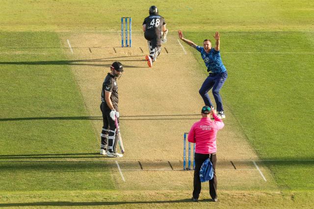 England's Brydon Carse appeals during the first one-day international (ODI) cricket match between New Zealand and England at Bay Oval in Tauranga on October 26, 2025. (Photo by DJ MILLS / AFP)