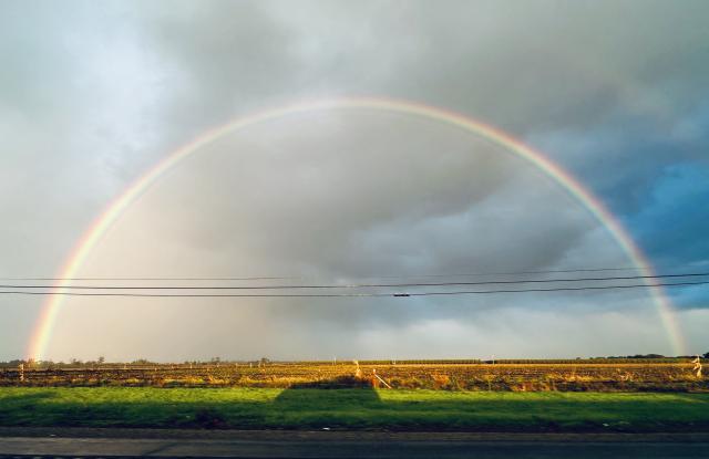 A rainbow is seen above the shadow of a vehicle travelling along Hwy 99 in central California near Galt, California, on October 26, 2025. (Photo by Frederic J. BROWN / AFP)