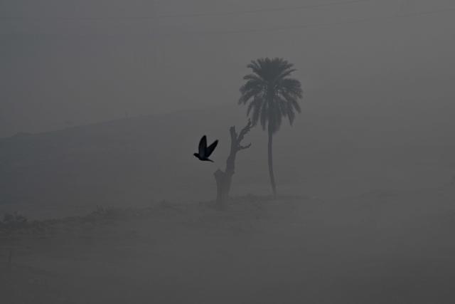 A bird flies amid dense smog in Lahore on October 27, 2025. (Photo by Arif ALI / AFP)