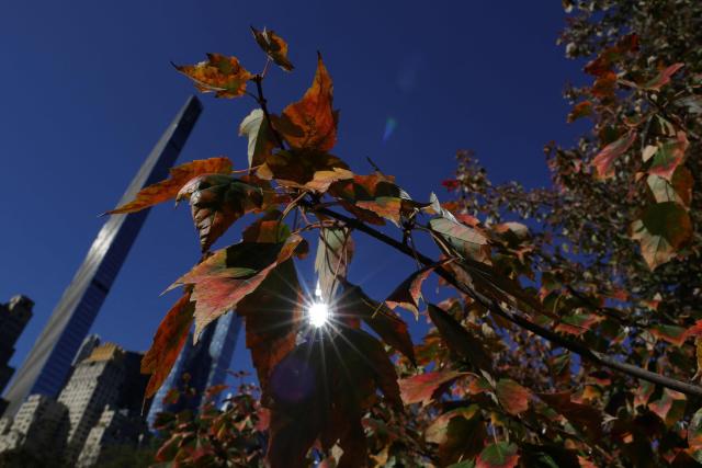 Skyscrapers are seen in the background through fall colors on Central Park's Pond in New York on October 27, 2025, a quintessential spot for viewing autumn foliage, especially with the iconic Gapstow Bridge. (Photo by TIMOTHY A. CLARY / AFP)