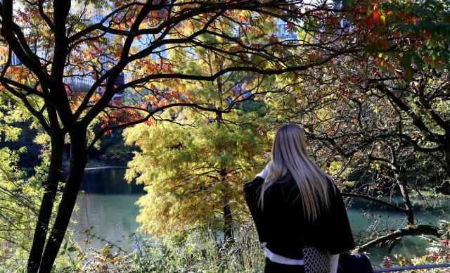 A woman enjoys the fall colors on Central Park's Pond in New York on October 27, 2025, a quintessential spot for viewing autumn foliage, especially with the iconic Gapstow Bridge. (Photo by TIMOTHY A. CLARY / AFP)