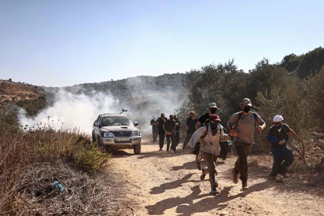 Palestinian farmers and foreign volunteers flee as the Israeli army lobs tear gas canisters as they harvest their olive groves near the Israeli occupied Palestinian West Bank village of Turmus Ayya, near the city of Ramallah on October 28, 2025. (Photo by Zain JAAFAR / AFP)