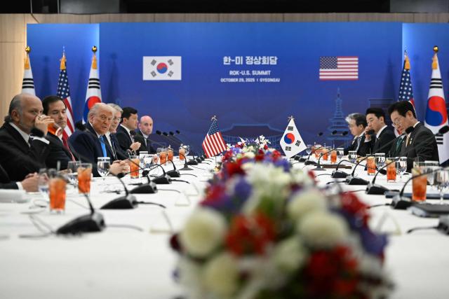 US President Donald Trump and South Korean President Lee Jae Myung attend a bilateral meeting at the Gyeongju National Museum in Gyeongju on October 29, 2025. (Photo by ANDREW CABALLERO-REYNOLDS / AFP)