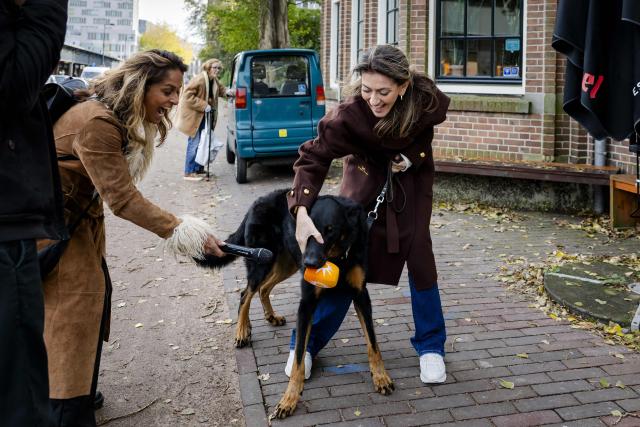 Moos, the dog of leader of the People's Party for Freedom and Democracy (VVD) Dilan Yesilgoz, grabs a microphone windscreen from TV show RTL Boulevard before casting her vote in the Dutch House of Representatives elections in Amsterdam on October 29, 2025. The Dutch headed to the polls on October 29, 2025 for a snap election seen as a litmus test for the strength of the far-right, which has made powerful gains across Europe. (Photo by Sem van der Wal / ANP / AFP) / Netherlands OUT