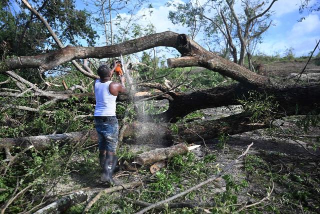 Rollin Salmond uses an electrical saw to cut sections of a tree blocking the entrance to his home in Longwood, St Elizabeth, Jamaica on October 29, 2025. Hurricane Melissa ripped up trees and knocked out power after making landfall in Jamaica on October 28, 2025 as one of the most powerful hurricanes on record, inundating the island nation with rains that threaten flash floods and landslides. (Photo by Ricardo MAKYN / AFP)