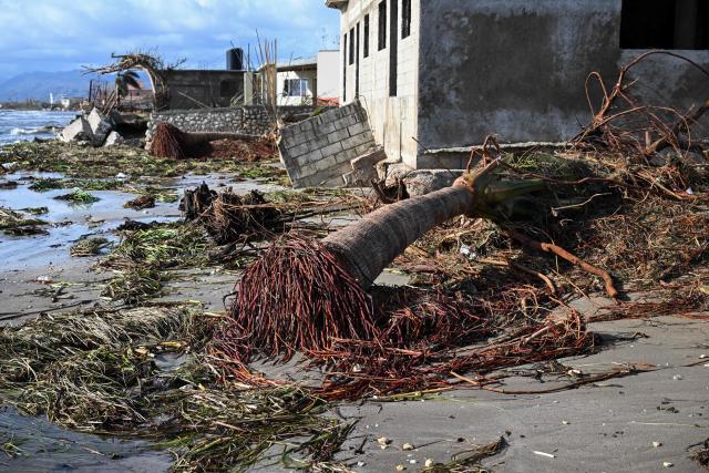 Uprooted trees are seen surrounded by damaged buildings following the passage of Hurricane Melissa, in Black River, St. Elizabeth, Jamaica on October 29, 2025. Hurricane Melissa bore down on the Bahamas October 29 after cutting a path of destruction through the Caribbean, leaving 30 people dead or missing in Haiti and parts of Jamaica and Cuba in ruins. 
Somewhat weakened but still threatening, Melissa will bring damaging winds and flooding rains to the Bahamas Wednesday before moving on to Bermuda late Thursday, according to the US National Hurricane Center (NHC). (Photo by Ricardo Makyn / AFP)