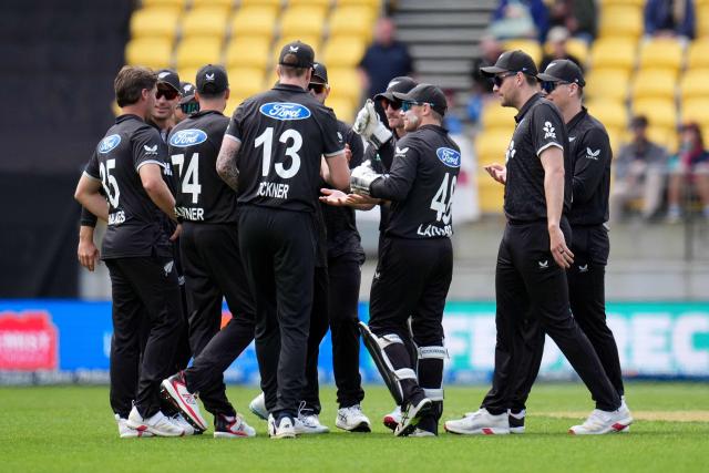 New Zealand players celebrate England Jamie Smith being caught with a LBW during the 3rd ODI cricket match between New Zealand and England at Sky Stadium in Wellington on November 1, 2025. (Photo by Marty MELVILLE / AFP)