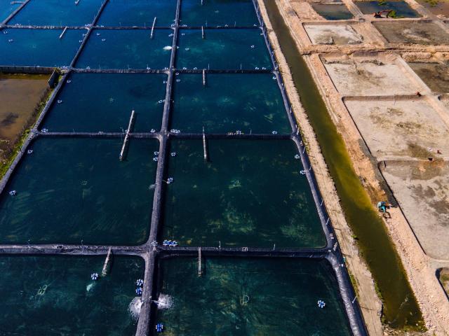 An aerial photo shows excavators working at a shrimp aquaculture farm in Pekan Bada, Aceh province on November 1, 2025. (Photo by CHAIDEER MAHYUDDIN / AFP)