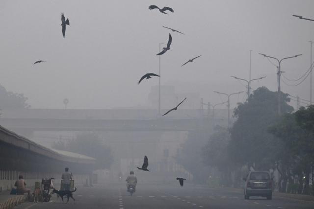 Birds fly past on a street amid dense smog in Lahore on November 1, 2025. (Photo by Arif ALI / AFP)