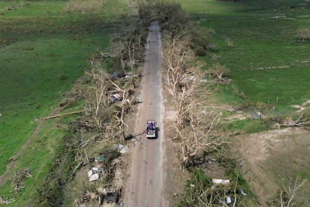 Stripped and damaged trees are seen along Holland Bamboo Avenue, one of Jamaica's main tourist attractions, in St Elizabeth, Jamaica, on October 31, 2025, in the aftermath of Hurricane Melissa. At least 19 people in Jamaica have died as a result of Hurricane Melissa which devastated the island nation when it roared ashore this week, a government minister told news outlets late October 31. (Photo by Ricardo Makyn / AFP)