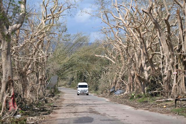 A vehicle drives past damaged trees along Holland Bamboo Avenue, one of Jamaica's main tourist attractions, in St Elizabeth, Jamaica, on October 31, 2025, in the aftermath of Hurricane Melissa. At least 19 people in Jamaica have died as a result of Hurricane Melissa which devastated the island nation when it roared ashore this week, a government minister told news outlets late October 31. (Photo by Ricardo Makyn / AFP)