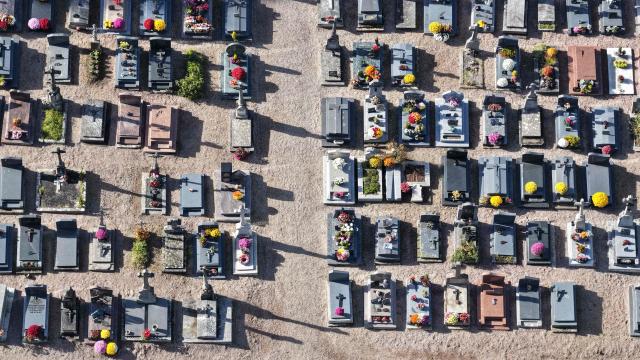 This aerial photograph shows graves decorated with flowers on All Saints' Day in a cemetery in Hede-Bazouges, northwestern France on November 1, 2025. (Photo by Damien MEYER / AFP)