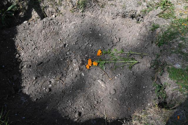 Flowers lie in a mass grave in memory of people buried as unknown at the Dolores Cemetery in Mexico City, on November 1, 2025, during an event organized by the National Search Commission (CNB), El Caracol A.C., and other civil society groups. (Photo by Yuri CORTEZ / AFP)