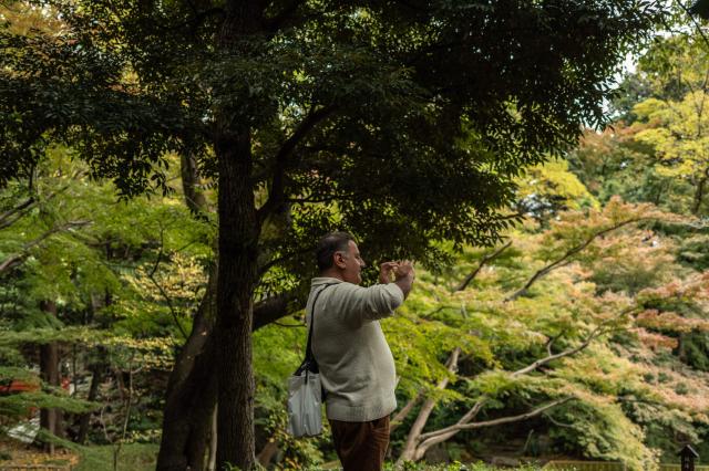 A man takes pictures at Koishikawa Korakuen park in Bunkyo district of Tokyo on November 2, 2025. (Photo by Philip FONG / AFP)