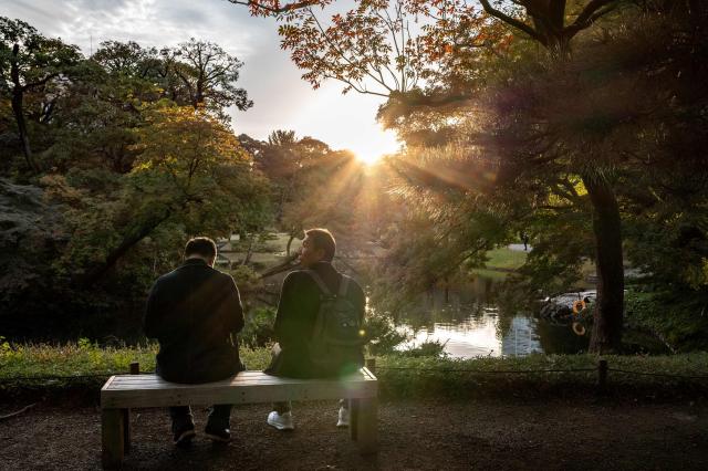 People visit Koishikawa Korakuen park in Bunkyo district of Tokyo on November 2, 2025. (Photo by Philip FONG / AFP)