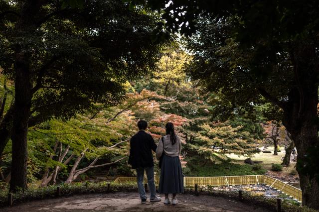 People visit Koishikawa Korakuen park in Bunkyo district of Tokyo on November 2, 2025. (Photo by Philip FONG / AFP)