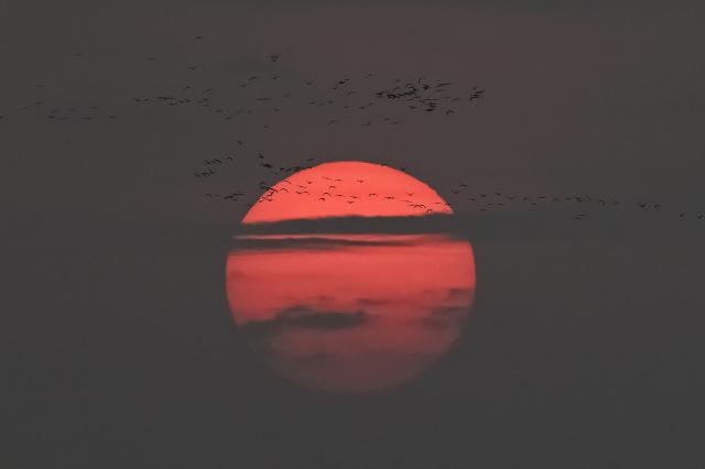 Birds fly past the setting sun in Sriharikota, an island off the coast of India's Andhra Pradesh state on November 2, 2025. (Photo by R. Satish BABU / AFP)