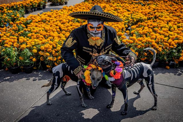 A man in costume with Xoloitzcuintle dogs, a breed native to Mexico and believed in Aztec mythology to be guide dogs to the afterlife, poses for a photo during the annual Day of the Dead celebrations in Mexico City on November 2, 2025. (Photo by CARL DE SOUZA / AFP)