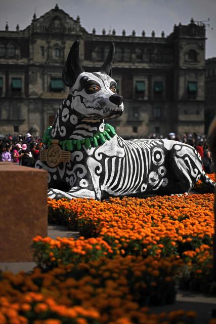 This view a huge statue of a Xoloitzcuintle dog, whose breed is native to Mexico, and were believed in Aztec mythology to be Guide Dogs to the afterlife, during the annual Day of the Dead celebrations in Mexico City on November 2, 2025. (Photo by CARL DE SOUZA / AFP)