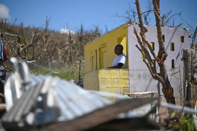 A man looks on among trees stripped of many branches by Hurricane Melissa in Westmoreland, Jamaica, on November 2, 2025. Planes and helicopters carrying humanitarian aid headed to Jamaica on October 31, three days after Melissa slammed into the island nation and killed at least 19 people.
Information Minister Dana Morris Dixon told a briefing that authorities had "quite credible" reports of possibly five additional deaths but had not yet been able to confirm. (Photo by Ricardo Makyn / AFP)