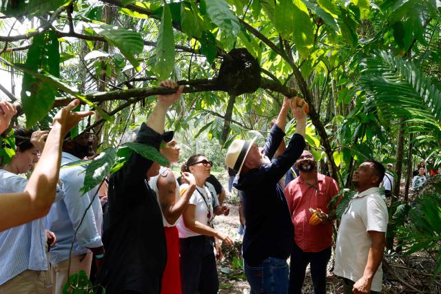 Brazil's President Luiz Inacio Lula da Silva (C) takes a cocoa fruit from a tree during a visit to Ilha Grande Agroextractive Settlement near Belem, Para State, Brazil, on November 3, 2025. Brazil recorded its biggest annual fall in greenhouse gas emissions last year since 2009, according to statistics released Monday, providing a boost for left-wing President Luiz Inacio Lula da Silva as he prepares to host UN climate talks. (Photo by Tarso Sarraf / AFP)