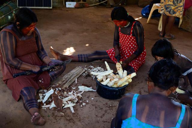 (FILES) Indigenous women prepare cassava in the village of Metuktire, in the Amazon rainforest of Mato Grosso state, Brazil, on March 22, 2025. Chef Saulo Jennings, a leading figure in northern Brazilian cuisine, recently declined to cater the Earthshot Prize banquet in Rio de Janeiro -hosted by Britain's Prince William- after organizers requested a fully vegan menu, which he described as "a lack of respect" for Amazonian culinary traditions. He is, however, ready to impress heads of state at the COP30 meeting this week with dishes showcasing both plant and animal ingredients from the world's largest rainforest. (Photo by Pablo PORCIUNCULA / AFP)