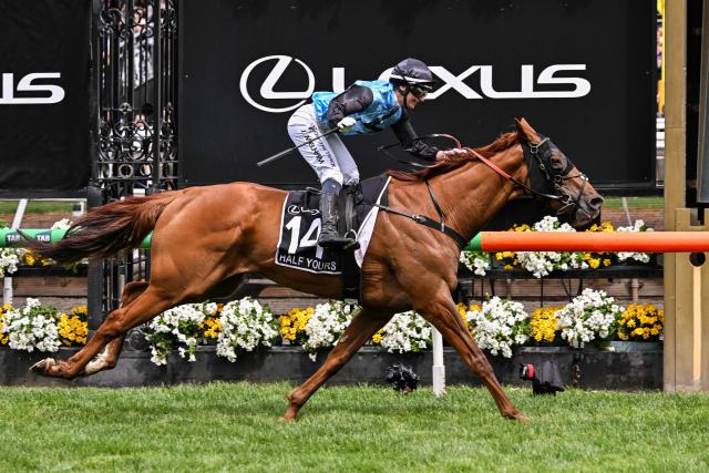 Half Yours ridden by Australian jockey Jamie Melham wins the Melbourne Cup horse race at the Flemington Racecourse in Melbourne on November 4, 2025. (Photo by WILLIAM WEST / AFP)