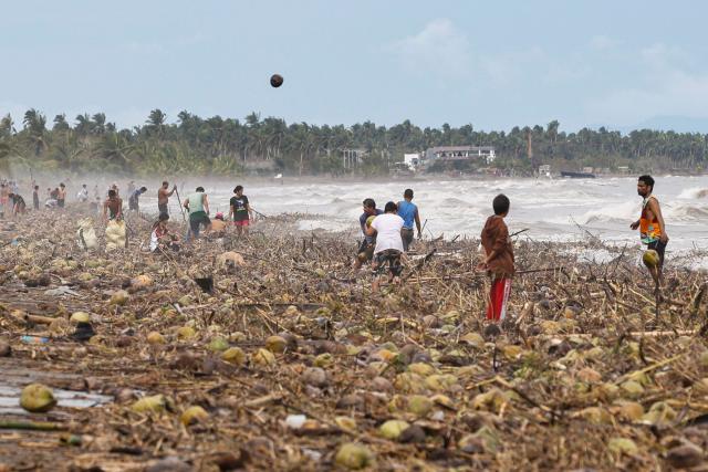 TOPSHOT - People gather coconuts washed ashore by of Typhoon Kalmaegi in Mayorga town, Leyte province on November 4, 2025. At least five people have been killed and hundreds of thousands displaced as rains driven by Typhoon Kalmaegi flooded swathes of the central Philippines on November 4. (Photo by FRANCIS CADAVIS / AFP)