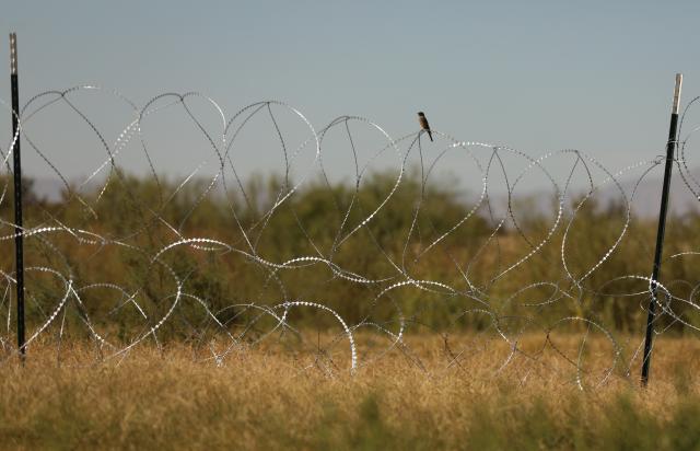 A bird perches on a roll of concertina wire placed by the U.S. Border Patrol's Big Bend Sector to prevent migrants from crossing from Ojinaga, Mexico to Presidio, Texas on November 4, 2025. (Photo by Herika Martinez / AFP)