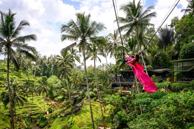 A woman poses for photographs on a giant swing at the Tegallalang rice terraces near Ubud in Bali on November 5, 2025. (Photo by Mladen ANTONOV / AFP)