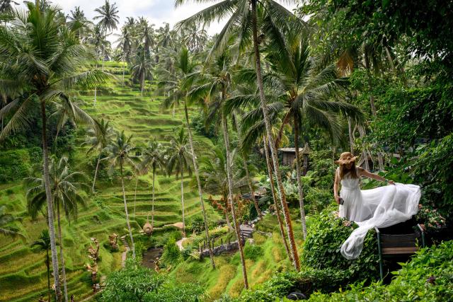 A woman poses for photographs at the Tegallalang rice terraces near Ubud in Bali on November 5, 2025. (Photo by Mladen ANTONOV / AFP)
