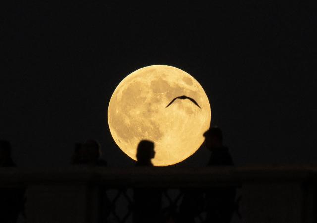 A supermoon, also called Beaver Moon, rises in the sky of Rome on November 5, 2025. (Photo by Tiziana FABI / AFP)