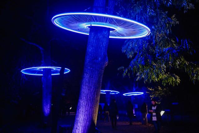 This photograph shows light structures during the press preview of the exhibition entitled "Lights of Nature" at the Jardin des Plantes in Paris, on November 5, 2025. (Photo by Dimitar DILKOFF / AFP)